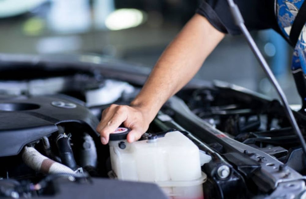 Oil Change & Maintenance