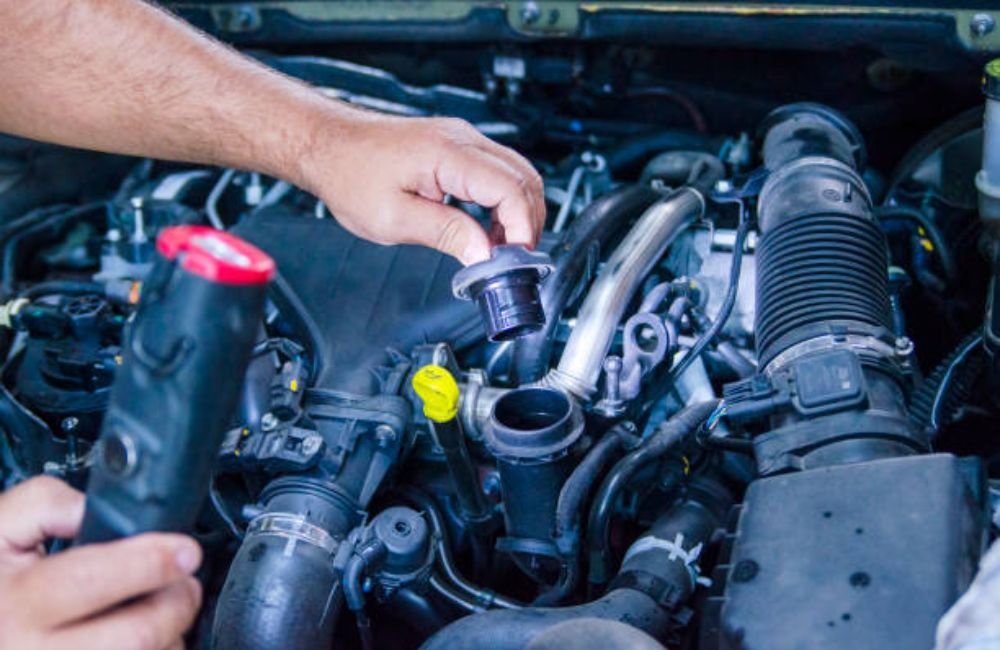 Oil Change & Maintenance