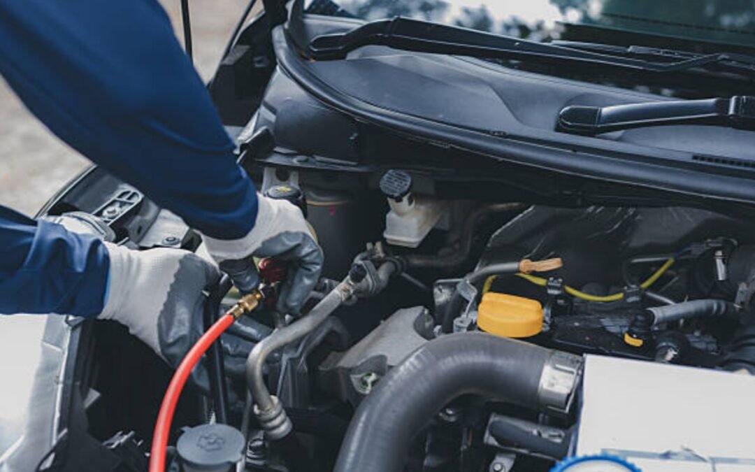 Why Sebastopol Auto Mechanics Stand Out: Qualities to Seek in Auto Mechanics Near Me